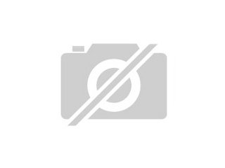 Rattenbabys in thüringen